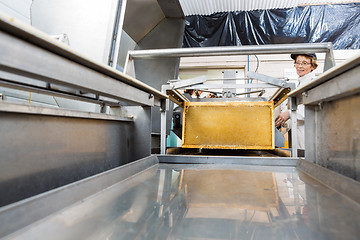 Image showing Female Beekeeper Operating Honey Extraction Plant