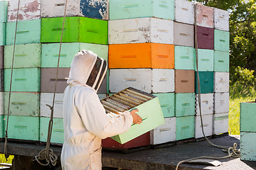 Image showing Beekeeper Unloading Honeycomb Crate From Truck