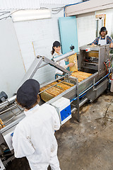 Image showing Beekeepers Working On Honey Extraction Plant