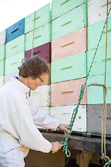 Image showing Beekeeper Tying Rope To Honeycomb Crates Loaded On Truck