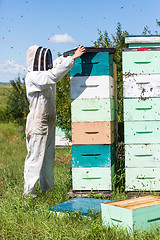Image showing Beekeeper Using Fume Board on Hive