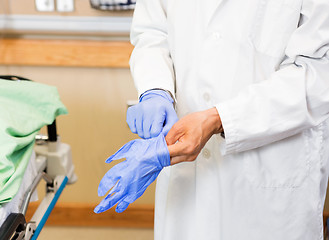 Image showing Doctor Wearing Protective Gloves In Hospital
