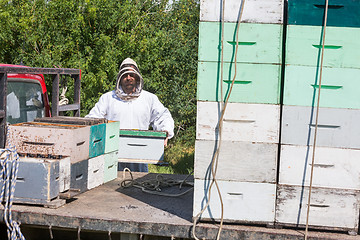 Image showing Beekeeper Loading Honeycomb Crate In Truck