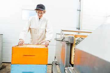 Image showing Beekeeper With Honeycomb Crates Working In Factory