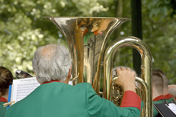 Image showing Tuba player