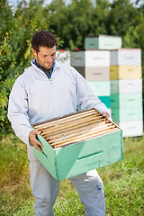 Image showing Beekeeper Looking At Honeycomb Crate