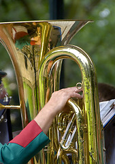 Image showing Tuba player hand