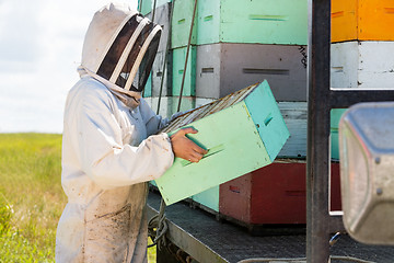 Image showing Beekeeper Carrying Honeycomb Crate At Apiary