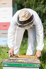 Image showing Beekeeper Working In His Apiary