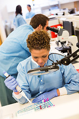 Image showing Scientist Experimenting In Laboratory