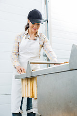 Image showing Beekeeper Collecting Honeycombs In Factory