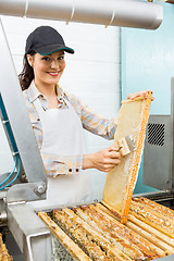 Image showing Female Beekeeper Brushing Honeycomb