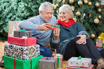 Image showing Happy Couple With Presents Sitting In Christmas Store