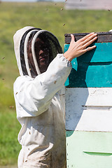 Image showing Female Beekeeper Working At Apiary