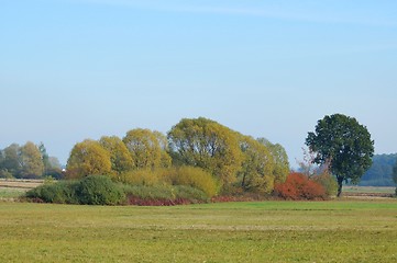 Image showing Landscape