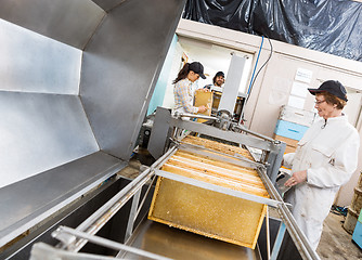 Image showing Beekeepers Extracting Honey From Machine