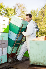 Image showing Beekeeper Smiling While Stacking Honeycomb Crates In Truck