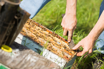 Image showing Beekeeper Removing Honeycomb Frames From Crate