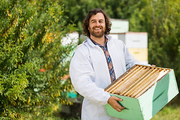 Image showing Male Beekeeper Carrying Crate Full Of Honeycombs