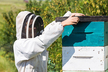 Image showing Beekeeper With Fume Board