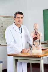 Image showing Confident Teacher Standing With Anatomical Model At Desk