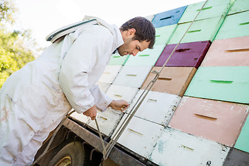 Image showing Beekeeper Tying Rope Stacked Honeycomb Crates