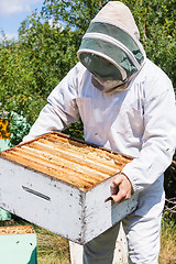 Image showing Beekeeper Carrying Honeycomb Crate At Apiary