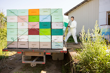 Image showing Beekeeper Loading Honeycomb Crates In Truck