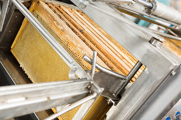 Image showing Closeup Of Honey Extraction Plant