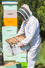 Image showing Male Beekeeper Carrying Honeycomb Crate