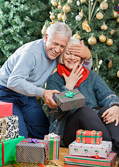 Image showing Man Surprising Senior Woman With Christmas Gifts In Store