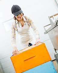 Image showing Female Beekeeper Arranging Honeycomb Frames