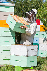 Image showing Beekeeper Carrying Honeycomb Crate At Apiary