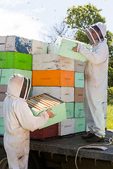 Image showing Beekeepers Unloading Honeycomb Crates From Truck