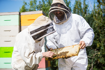 Image showing Beekeepers Inspecting Honeycomb Frame