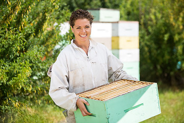 Image showing Female Beekeeper Carrying Honeycomb Crate