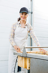 Image showing Beekeeper Collecting Honeycombs From Machine