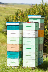 Image showing Multicolored Honeycomb Crates