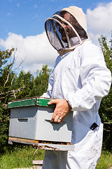 Image showing Beekeeper Carrying Honeycomb Box