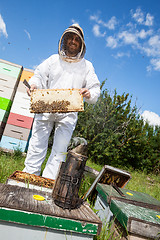 Image showing Beekeeper Holding Honeycomb Frame On Farm