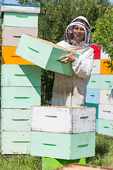 Image showing Beekeeper Carrying Honeycomb Box At Apiary