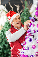 Image showing Happy Owner Decorating Christmas Tree