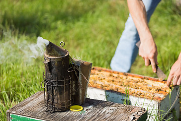 Image showing Bee Smoker With Apiarist Working On Farm