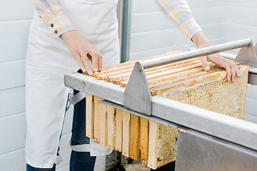 Image showing Female Beekeeper Collecting Honeycombs From Machine