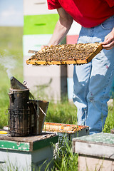 Image showing Beekeeper Smoking A Beehive