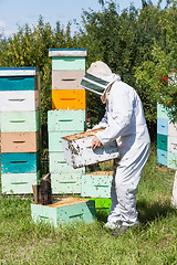 Image showing Male Beekeeper Carrying Honeycomb Crate