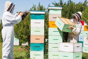 Image showing Beekeepers Working At Apiary