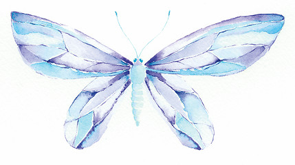 Image showing blue and purple fantasy butterfly