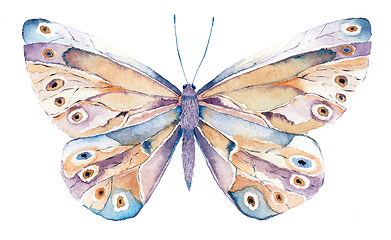 Image showing brown and purple fantasy butterfly