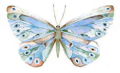 Image showing blue and green fantasy butterfly